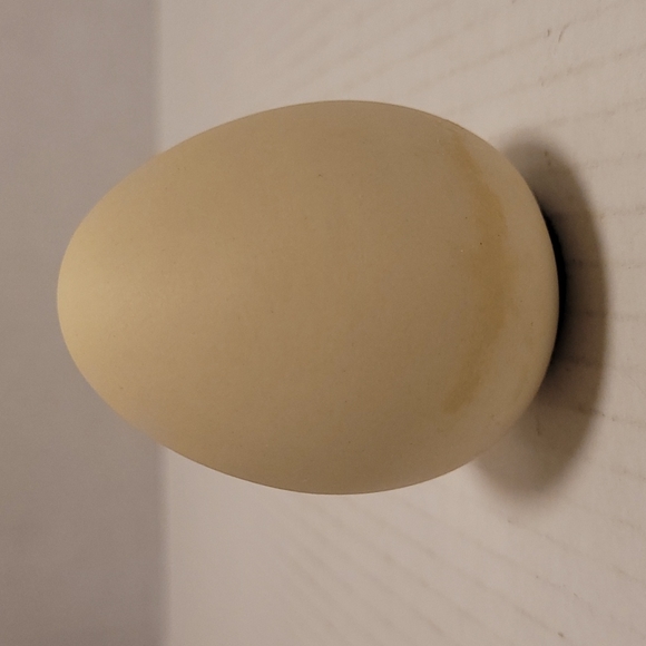 Beautiful Pair of Porcelain Eggs - Picture 10 of 16